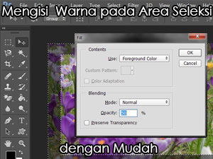 Mengisi area seleksi dengan warna pada Photoshop