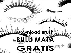 Download Brush Bulu Mata