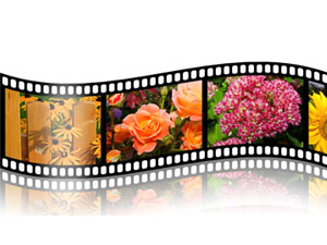 Membuat Pita Film menggunakan Adobe Photoshop