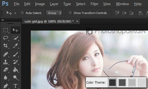 theme-photoshop03