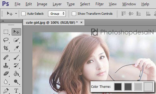 theme-photoshop06