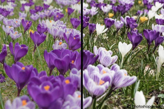 tips-blending-mode-04