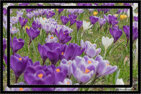 seleksi-dengan-warna-05